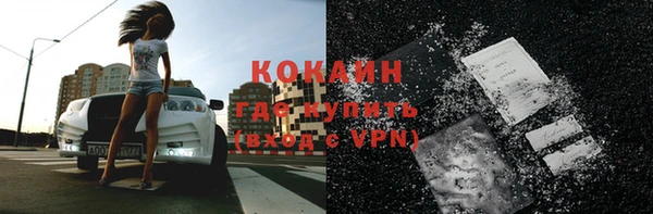 стаф Балахна